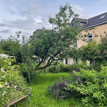 Ynyswen Bed & Breakfast Nantgaredig Екстериор снимка