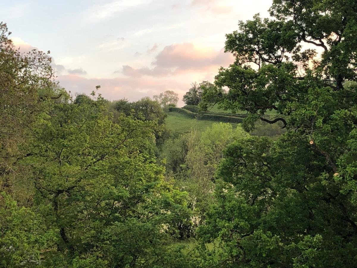 Ynyswen Bed & Breakfast Nantgaredig Екстериор снимка