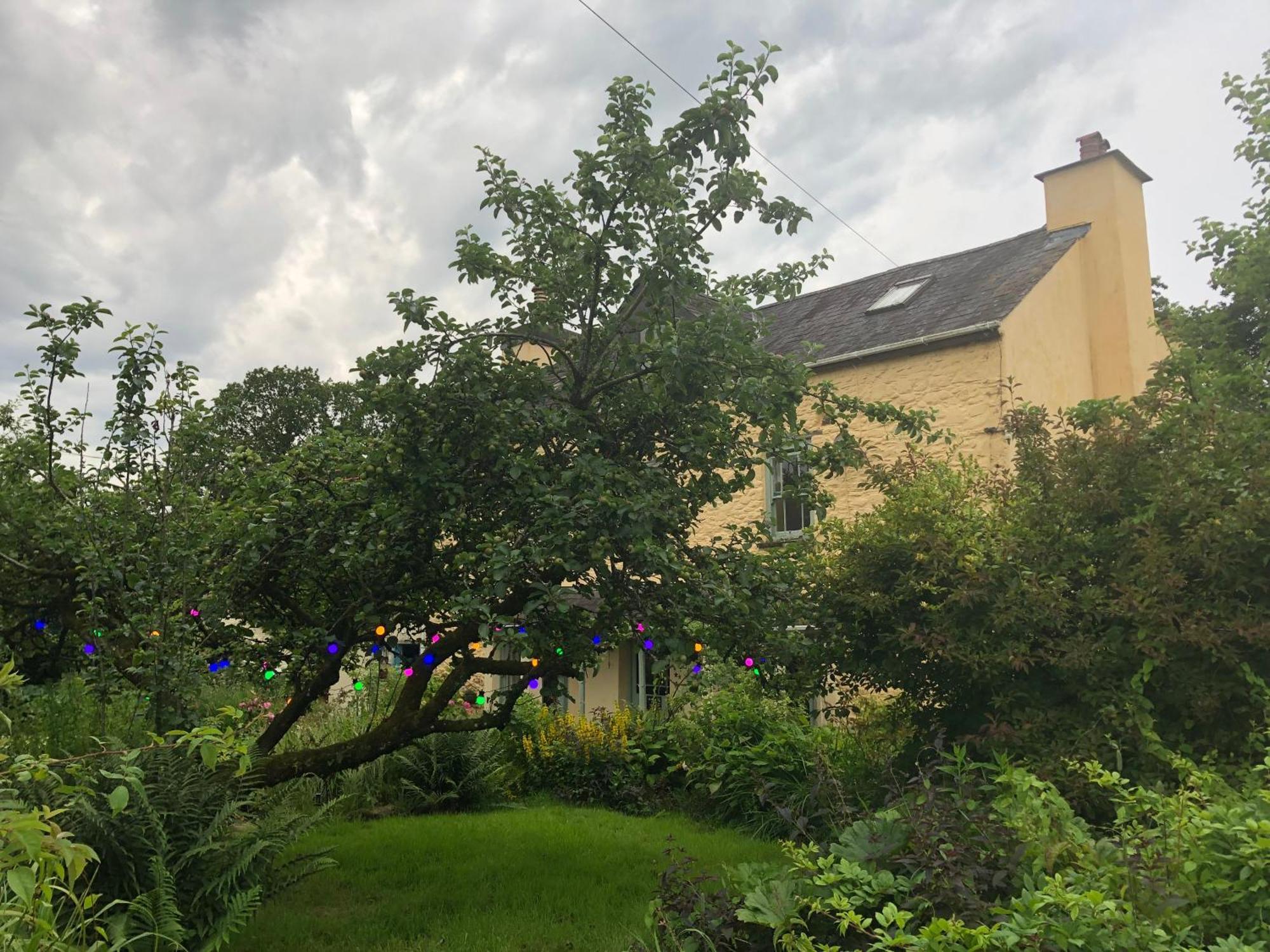 Ynyswen Bed & Breakfast Nantgaredig Екстериор снимка